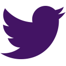 Icon of the Twitter page