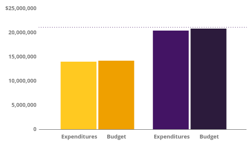 chart_4_budget_en.png